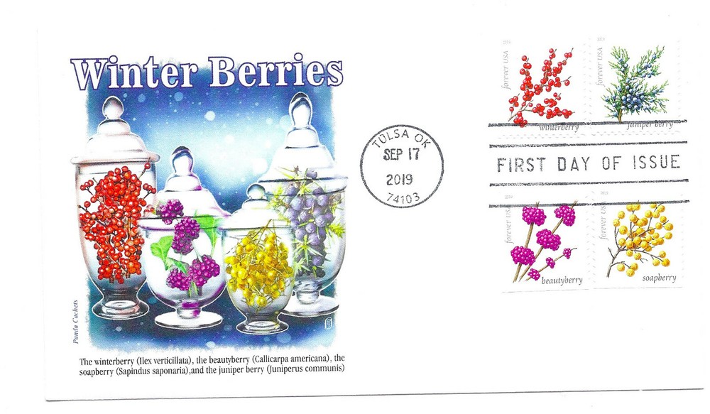 5415-18 Winter Berries Panda Cachets, FDC