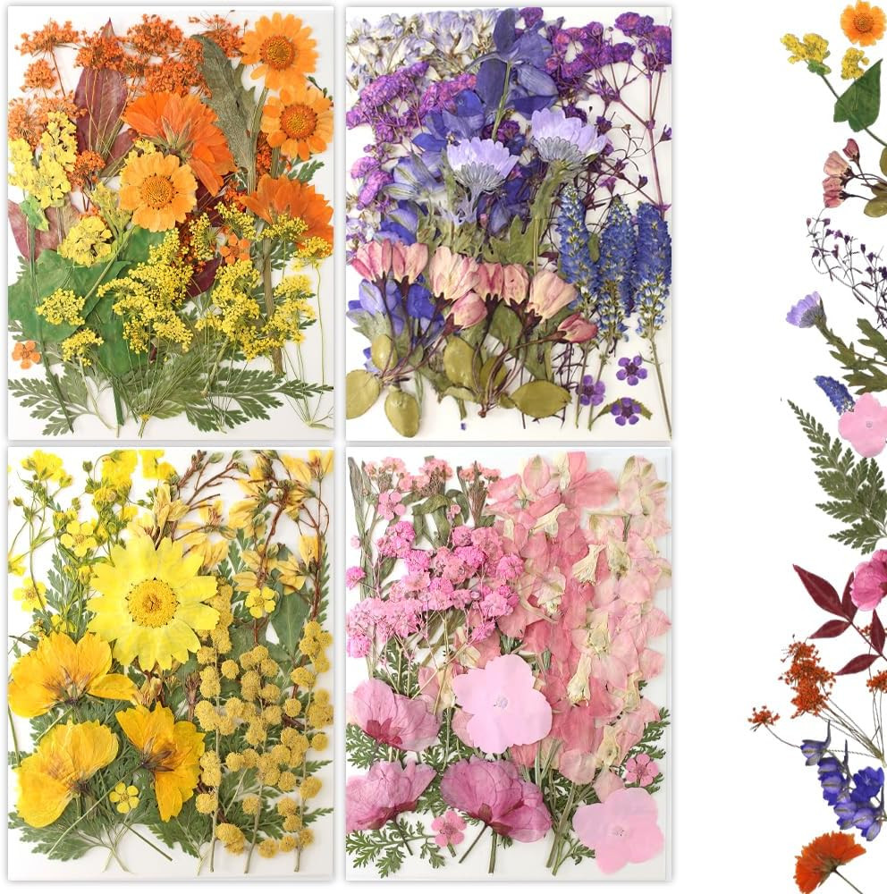 80Pcs Pressed Flowers, Dried Flowers Natural Pressed Flowers Bulk for Resin Mold