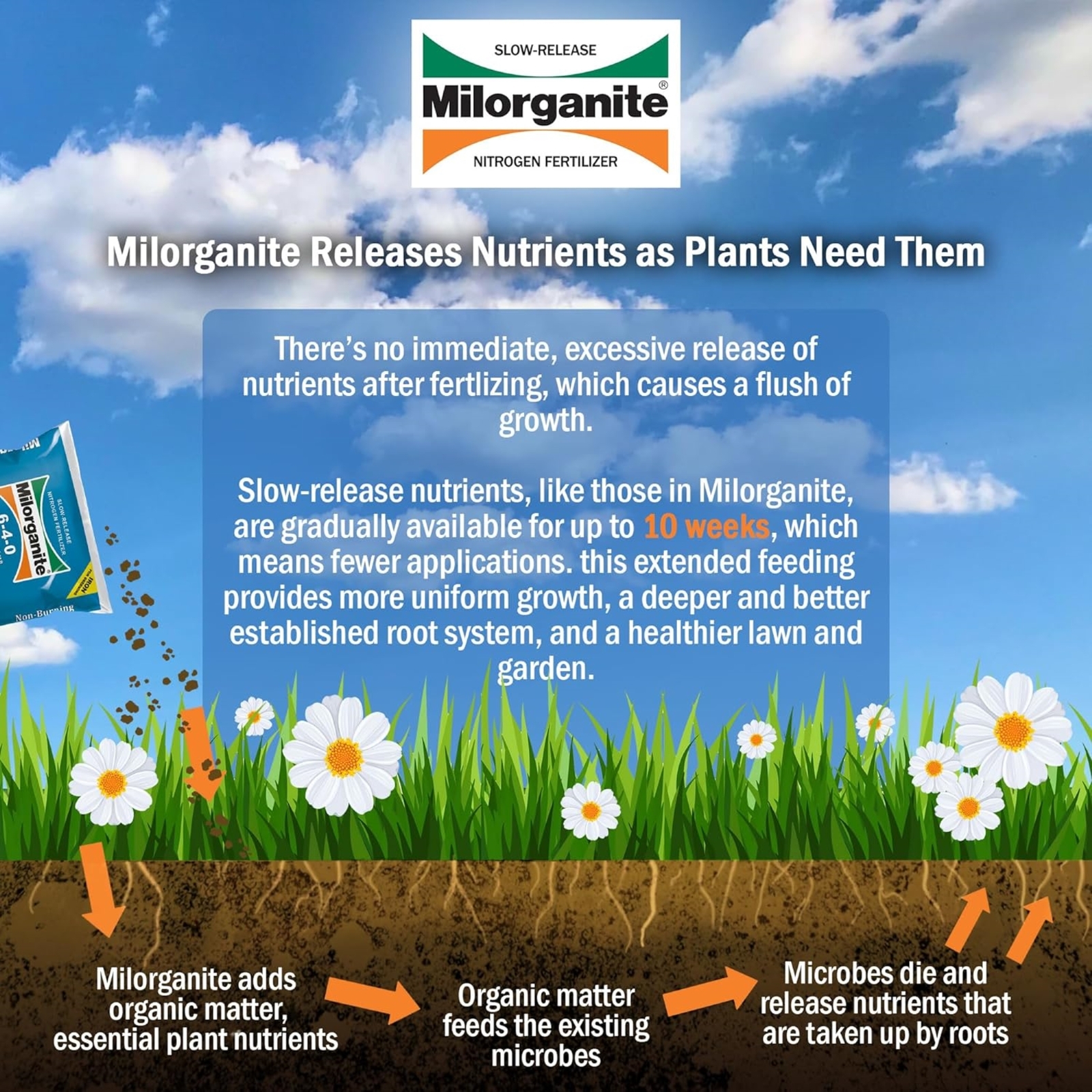 Milorganite All-Purpose Eco-Friendly Slow-Release Nitrogen Fertilizer, 32lb