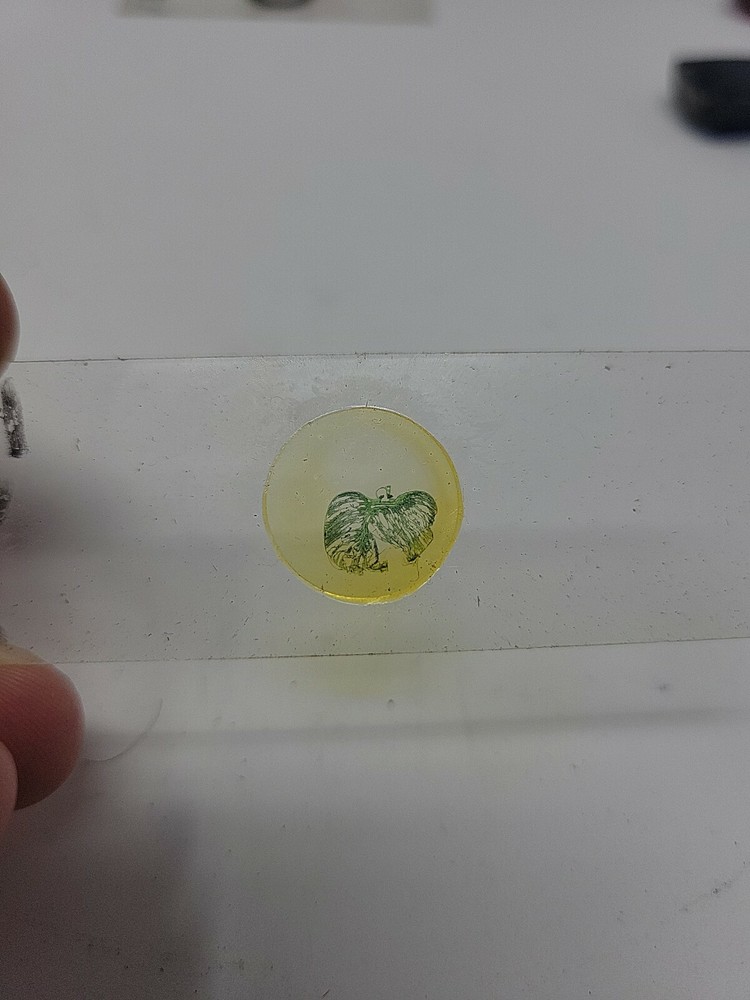 Vintage Microscope Slide 1941