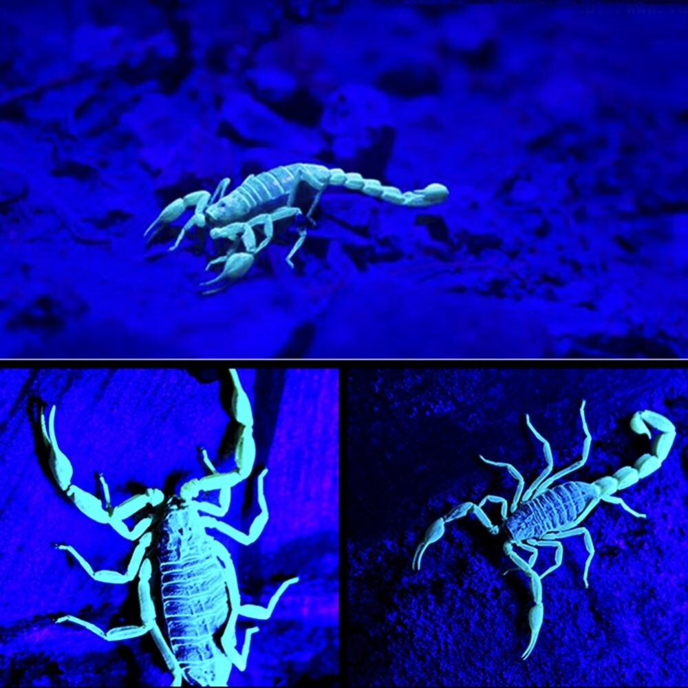 20PC UV Flashlight Mini Keychain LED Torch Light Blacklight Key Ring Lights US