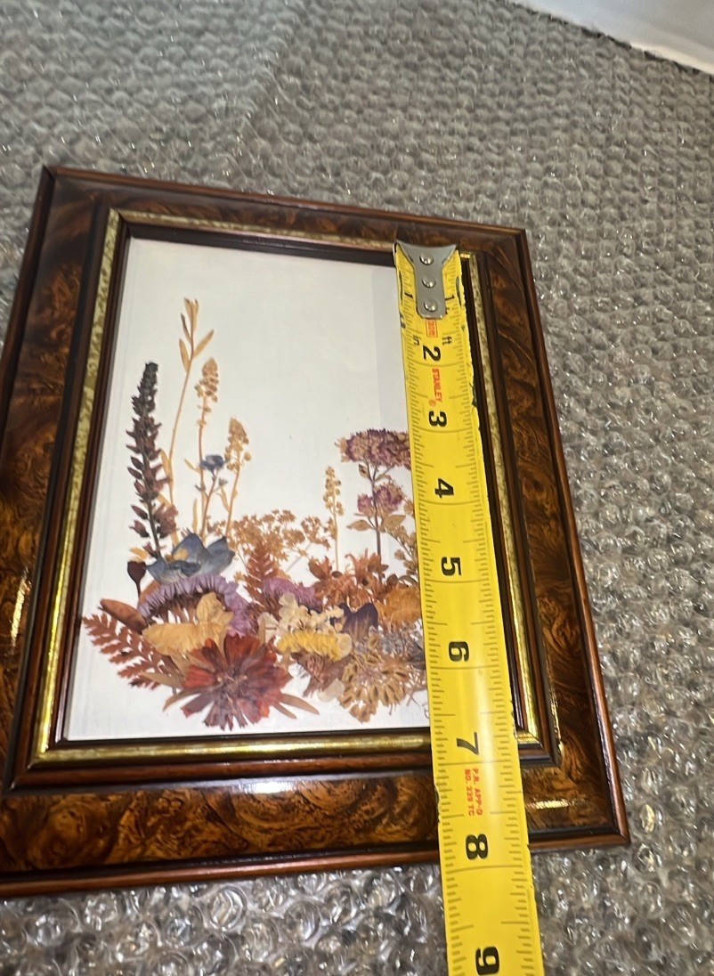 VTG Real Pressed Flower Specimens Framed With Glass Folk Art Wall Hanging Signed