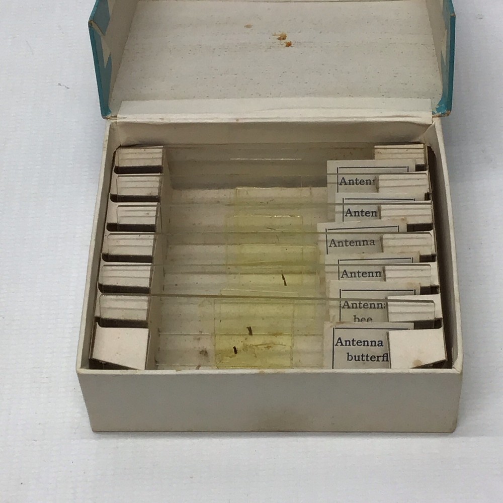 Vintage PERFECT MICROSCOPE SPECIMEN SLIDES 3 Boxes 18 Slides 810-E, N, & P