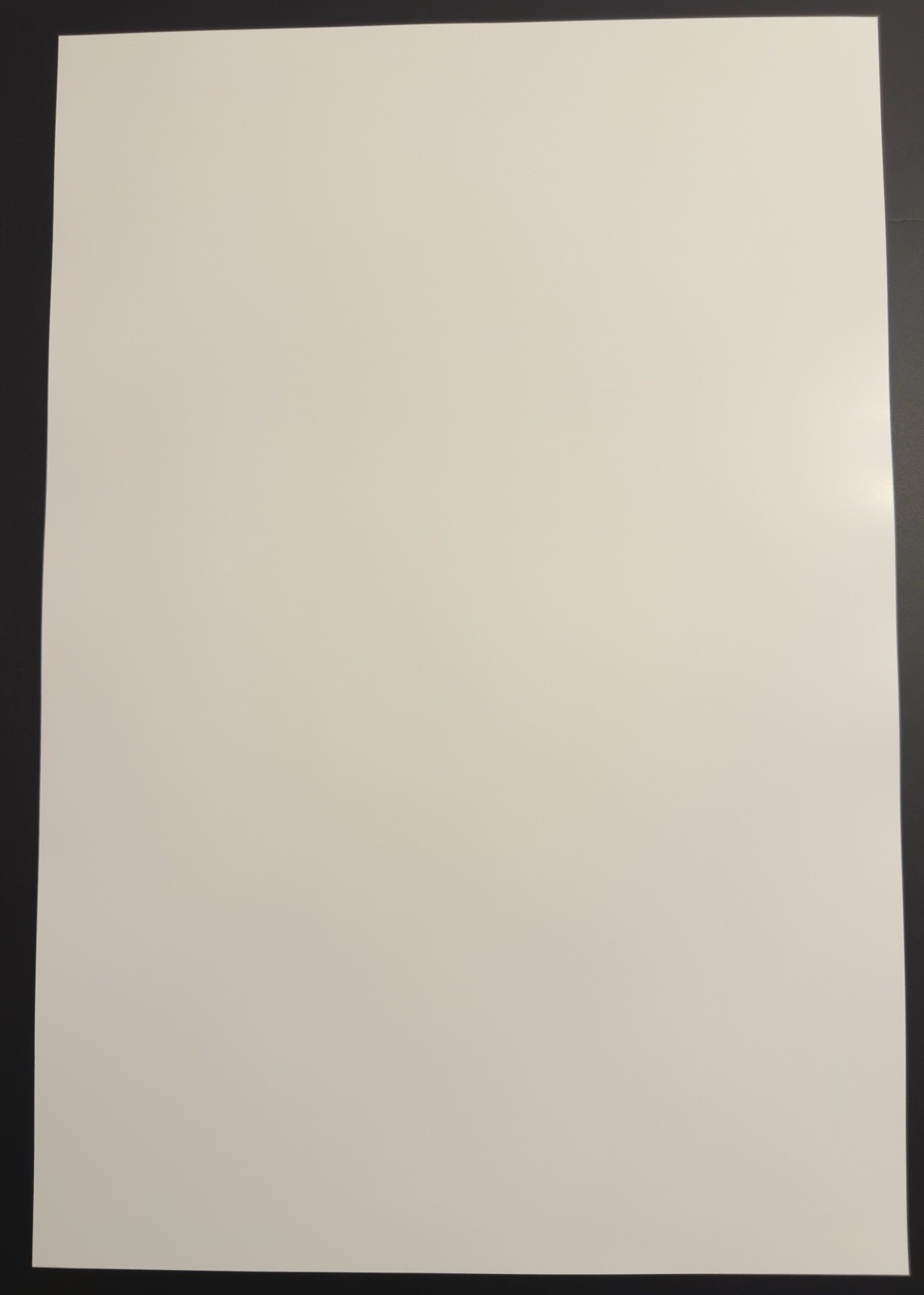 THE BRIDE- AMC 17 X 25 Limited Edition PROMO Poster - New