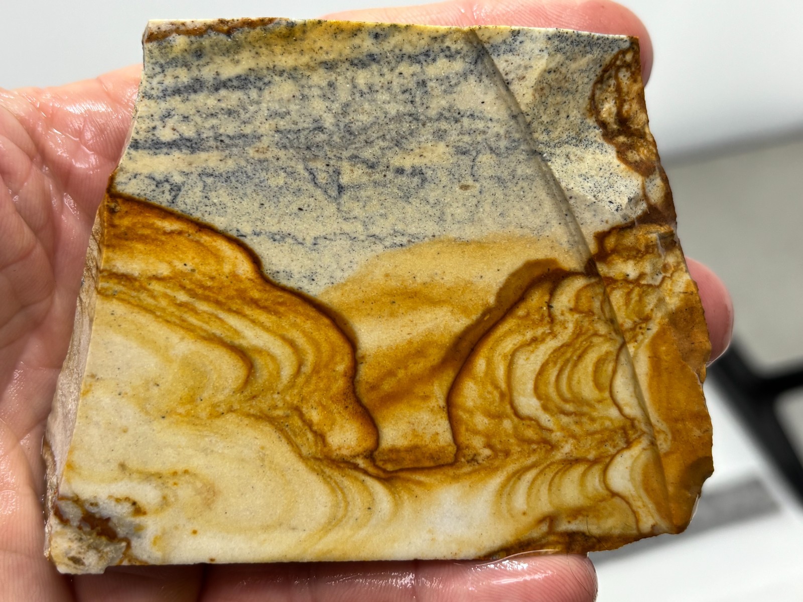 Disaster Peak Picture Jasper end slab Cabbing Lapidary Collecting Combo Ship Avl