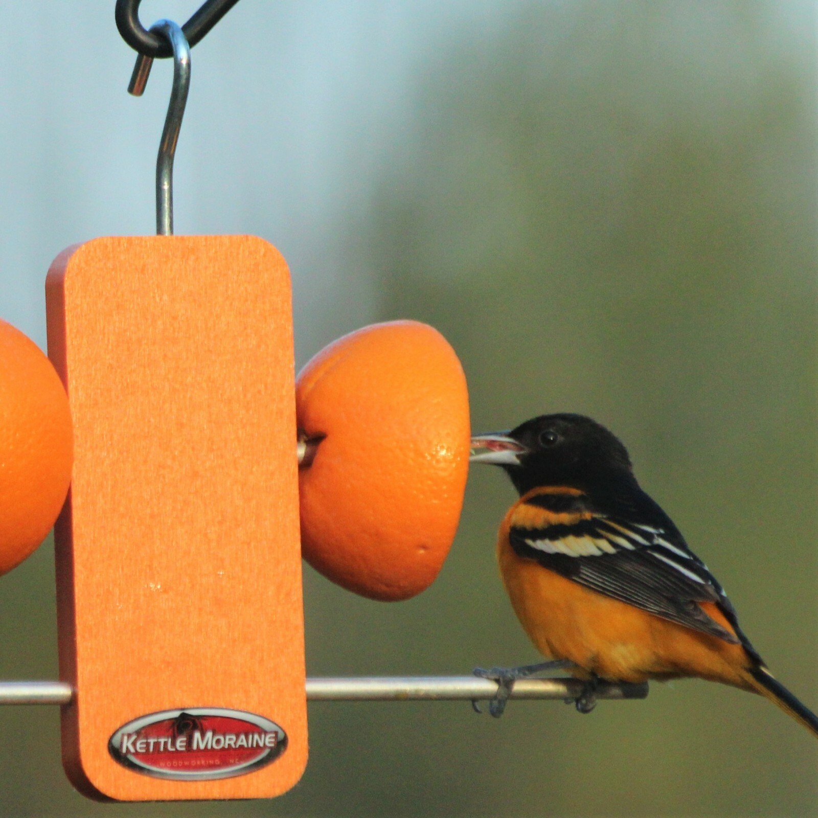 Kettle Moraine Recycled Plastic Single Oriole Orange Fruit Stick Feeder #8337