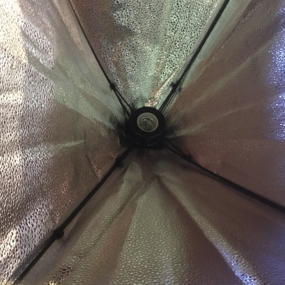 Mount Dog Soft box Lighting Set