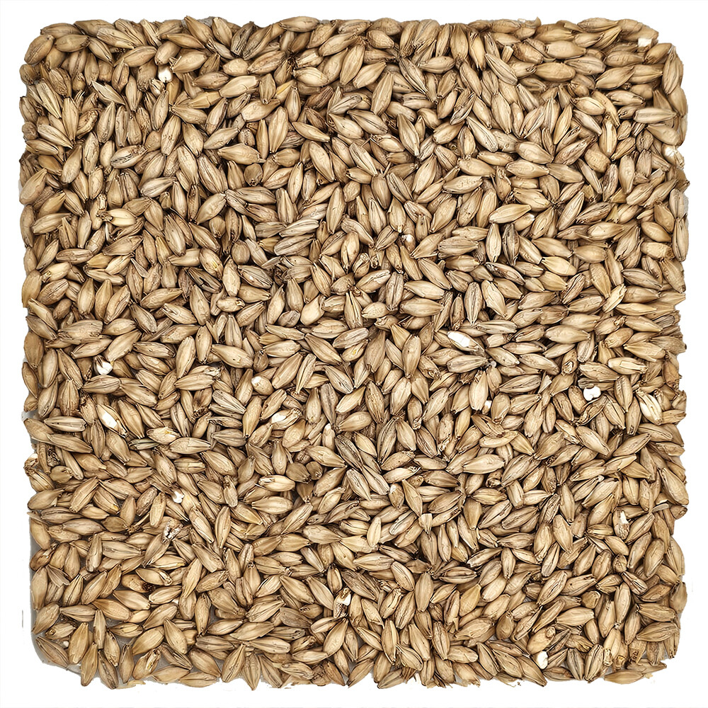 Home Brew Ohio 2-Row Grain 10lb
