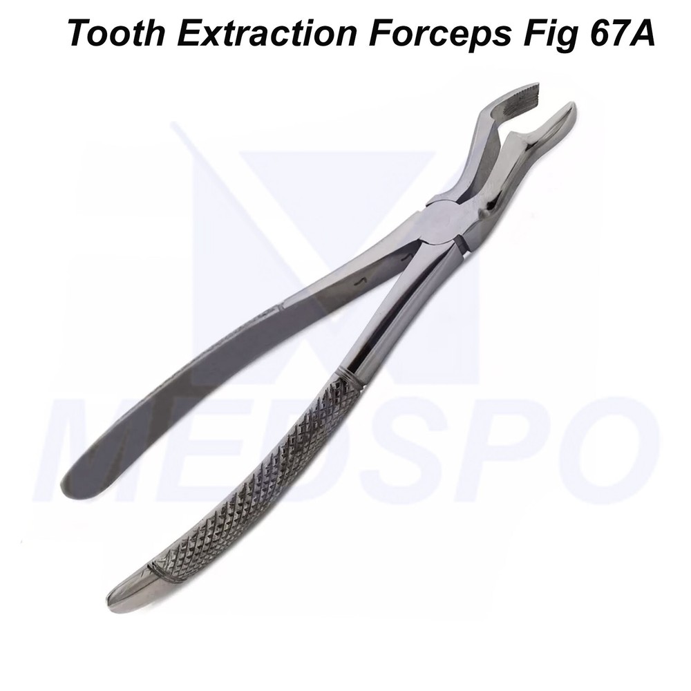 Dental Forceps Fig 67A Extracting Upper Wisdom Molars Dentist Instruments CE