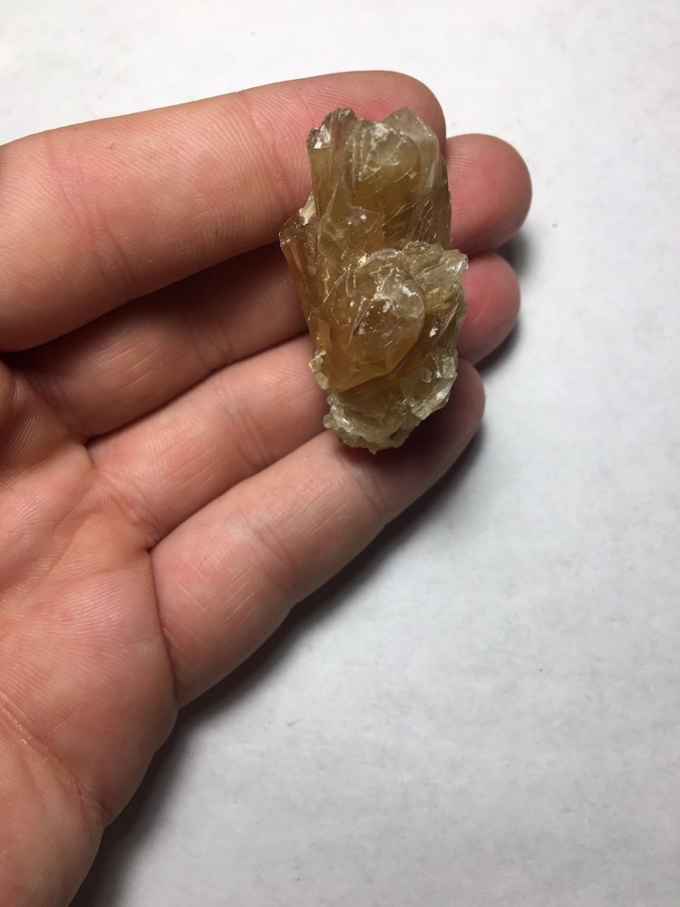 Fossil Clam Shell Calcite Crystals Fluorescent Cluster Rainbow From Rucks Pit FL