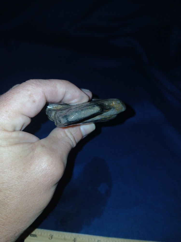 5.7 oz Texas Petrified Wood