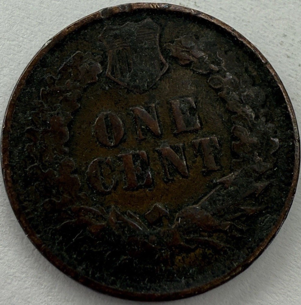 1900 Indian Head Cent Exact Coin Imaged #IND1489