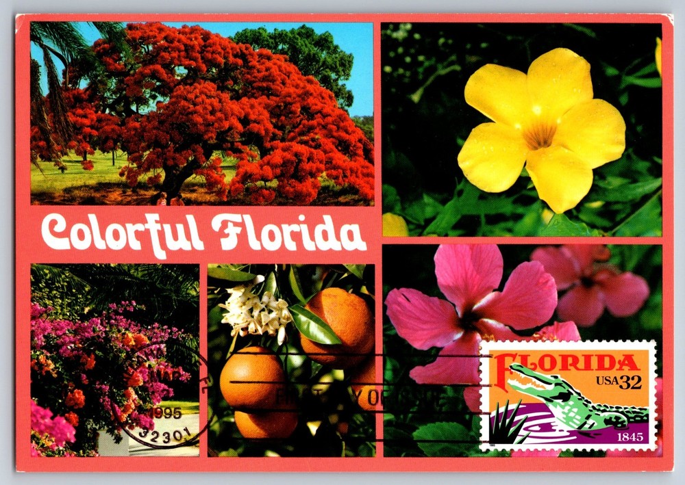 2950 Florida FDC Maxi Card