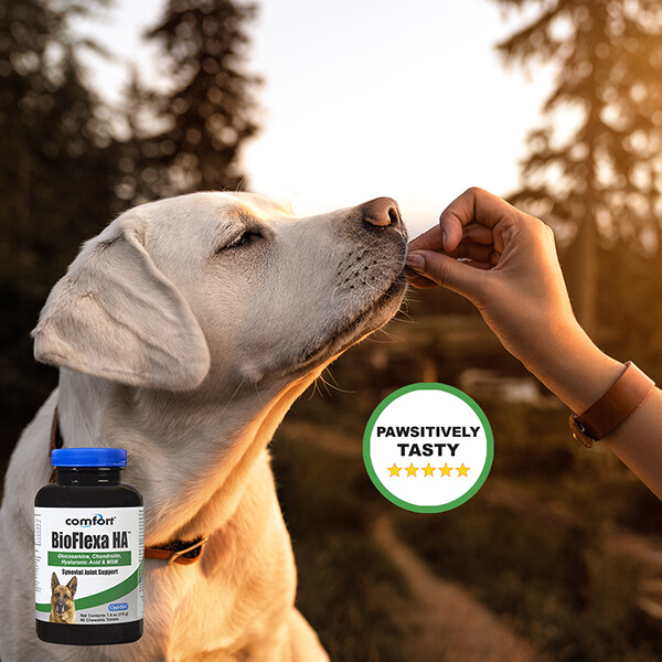 Comfort BioFlexa HA for Dogs
