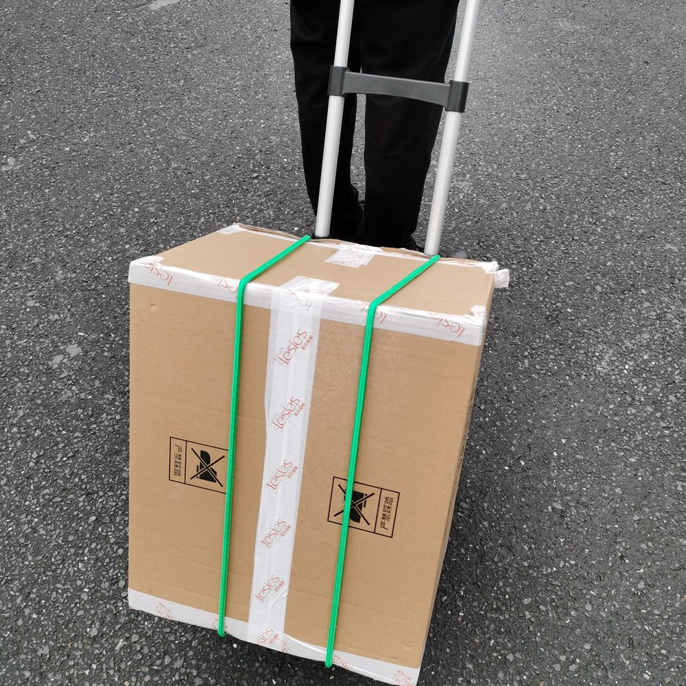 Heavy Duty Standard Rubber Bungee Cords Secure Cargo Loads UV Resistant 2 Pack