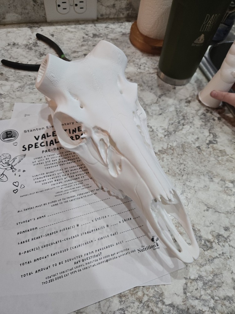 Whitetail Shed/mount Kit