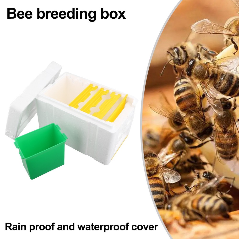 Queen Bee Mating Box Mini-Nucleus Hive Breeding Harvesting Beekeeping-Tools New