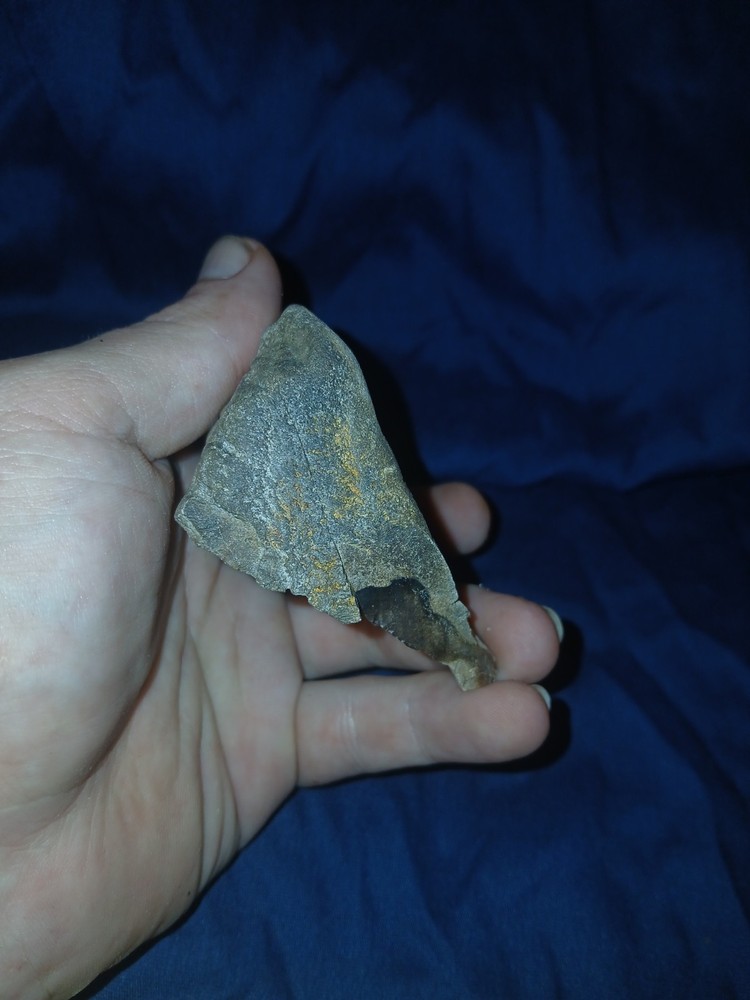 6.2 oz Petrified Wood