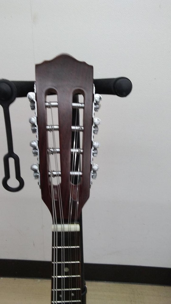 SUZUKI M-218 Mandolin