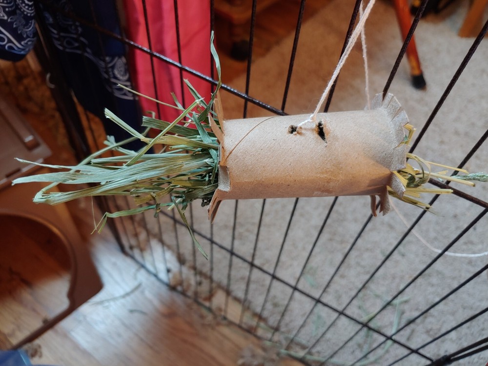 rabbit toy