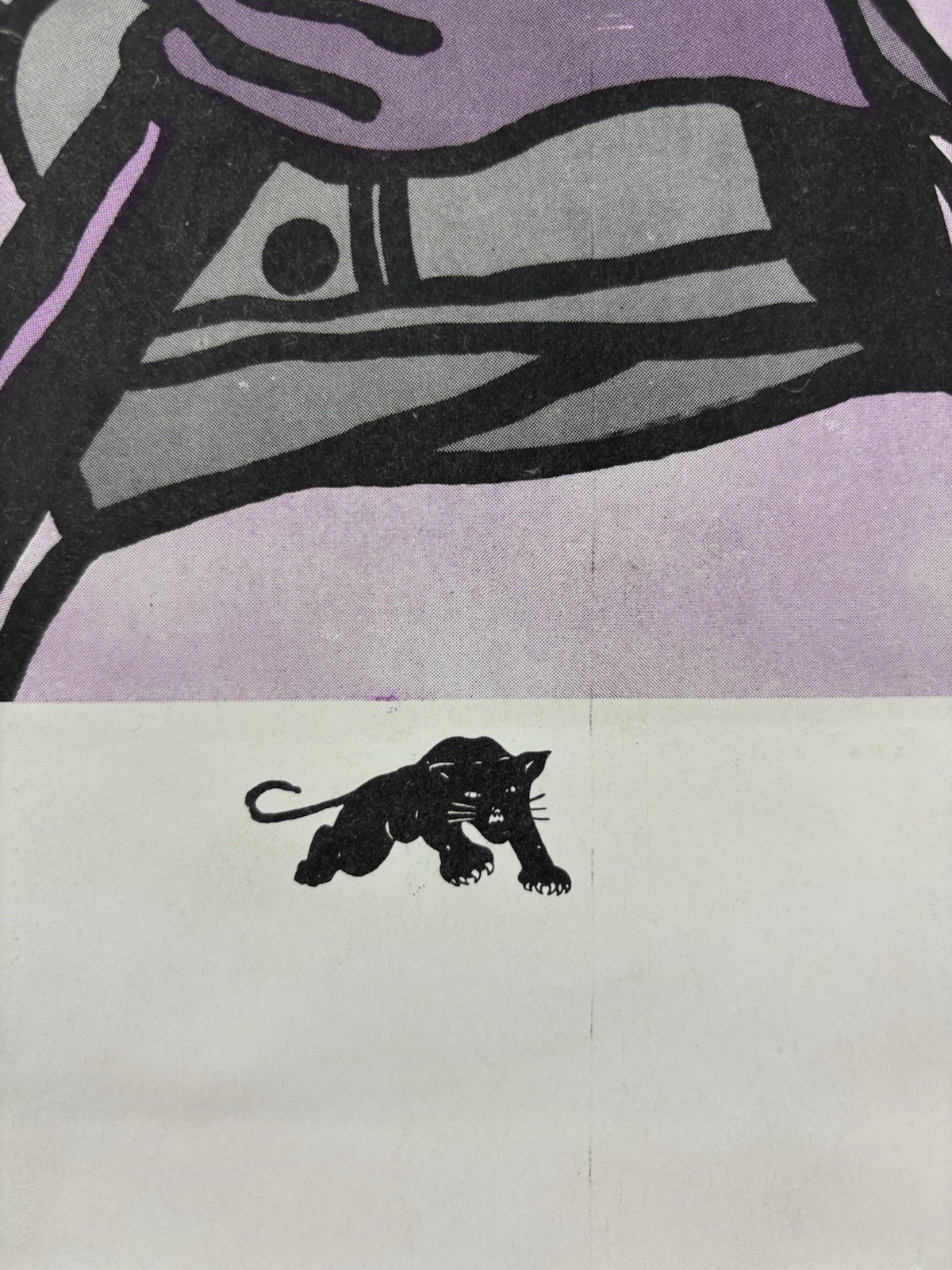 BLACK PANTHER PARTY Political Poster 1969 Emory Douglas AFRO AMERICAN SOLIDARITY