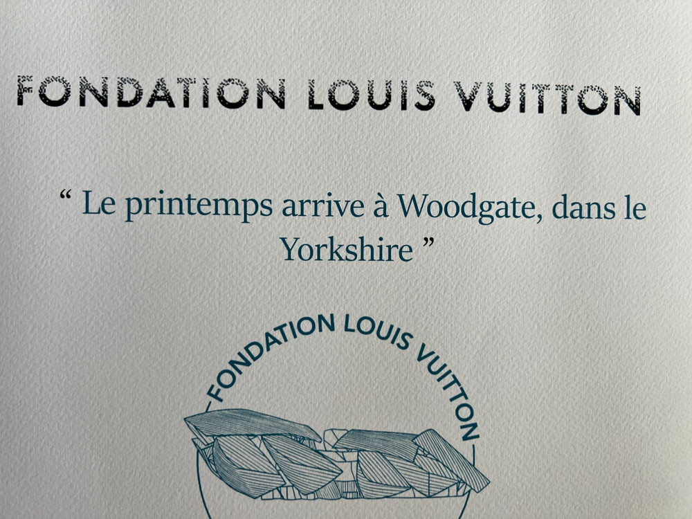 David Hockney Lithograph Handmade COA Signed Op Numbered Limited &