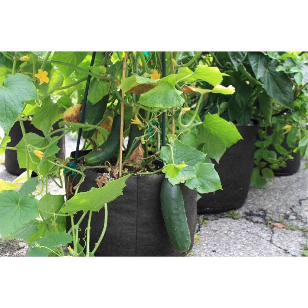 1-Gallon Smart Pot Soft-Sided Container, Black
