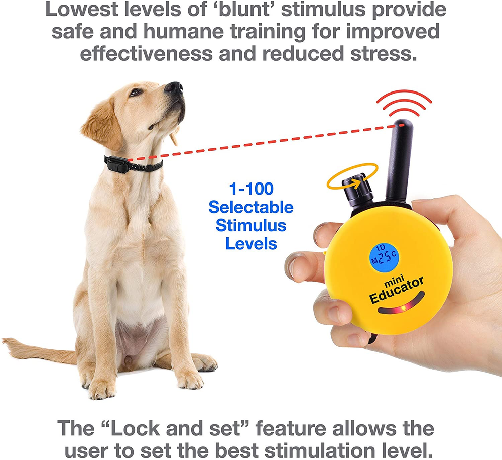 Mini Educator E-Collar ET-300 Remote Off Leash Dog Training 1/2 Mile Range