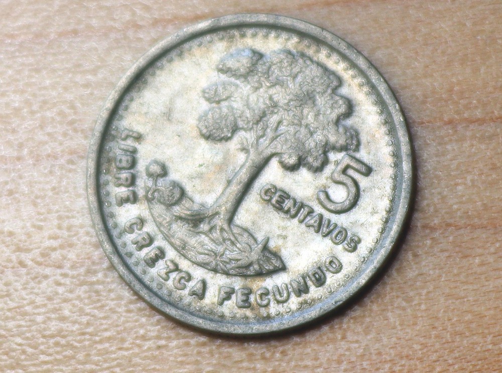 1991 Guatemala 5 Centavos Kapok Tree