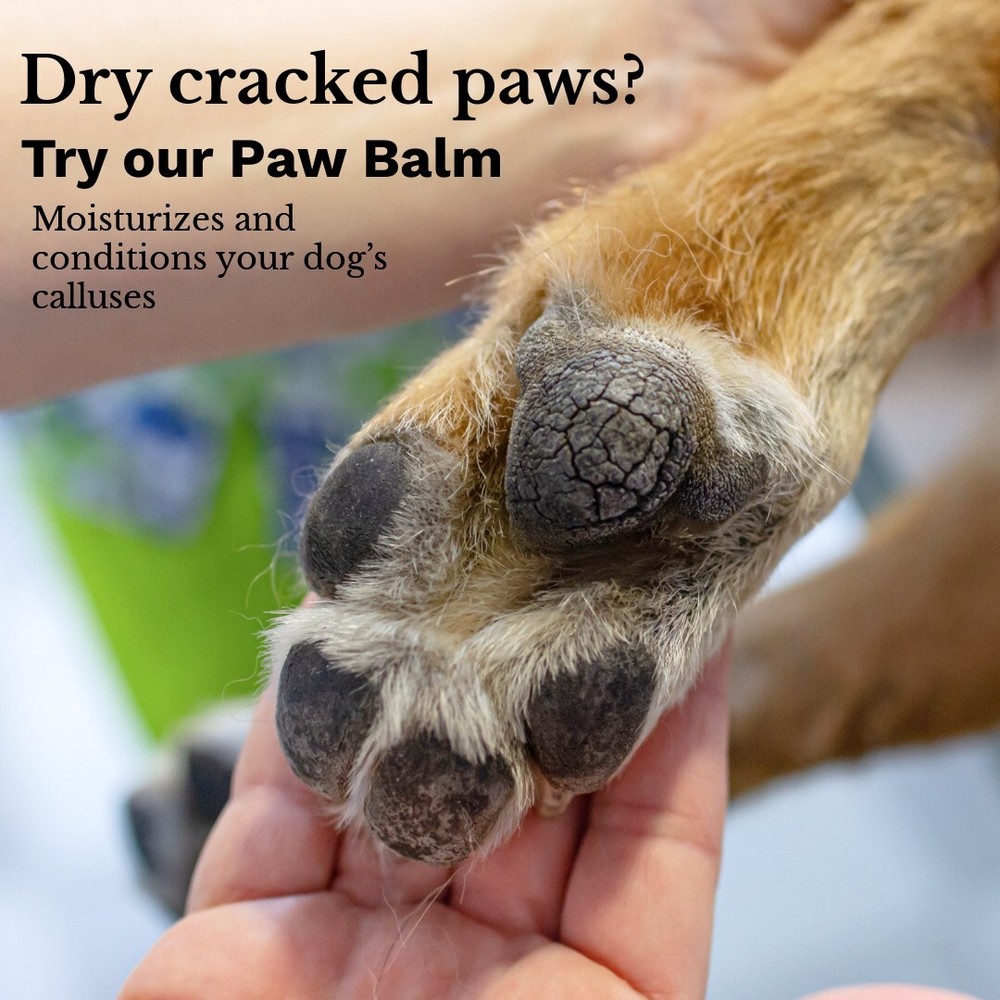 Dog Grooming Supply - Pet Balm