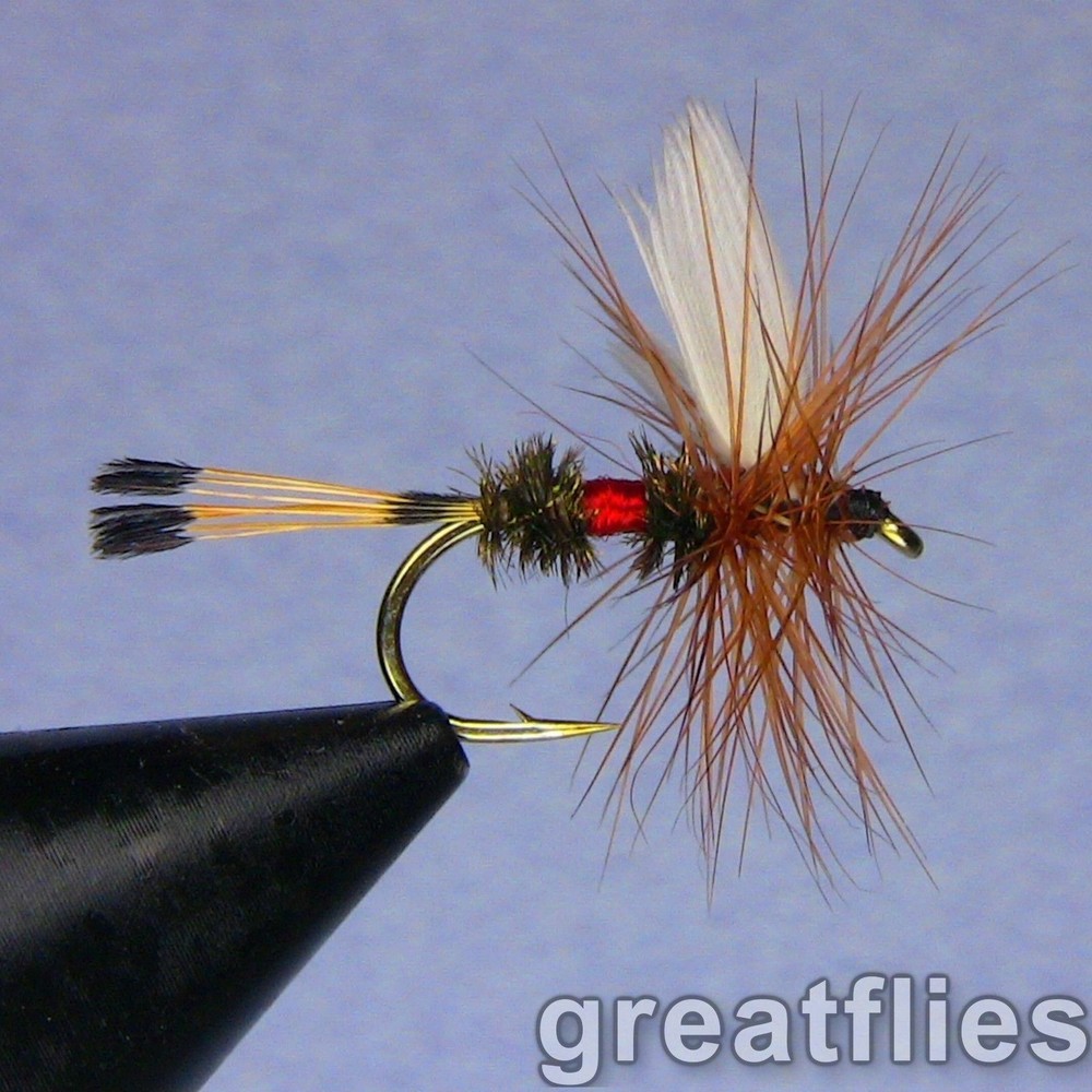 1 dozen (12) - Royal Coachman