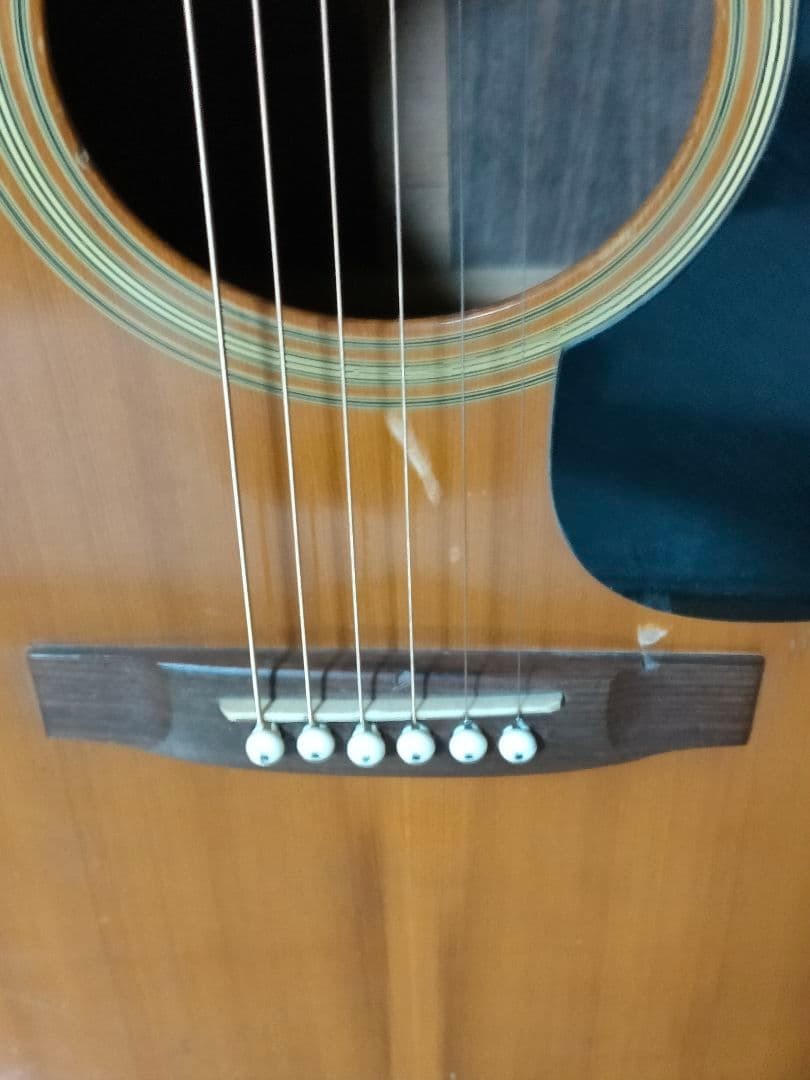 Takamine Elite TW-25 Vintage 1970s Acoustic Guitar Japan