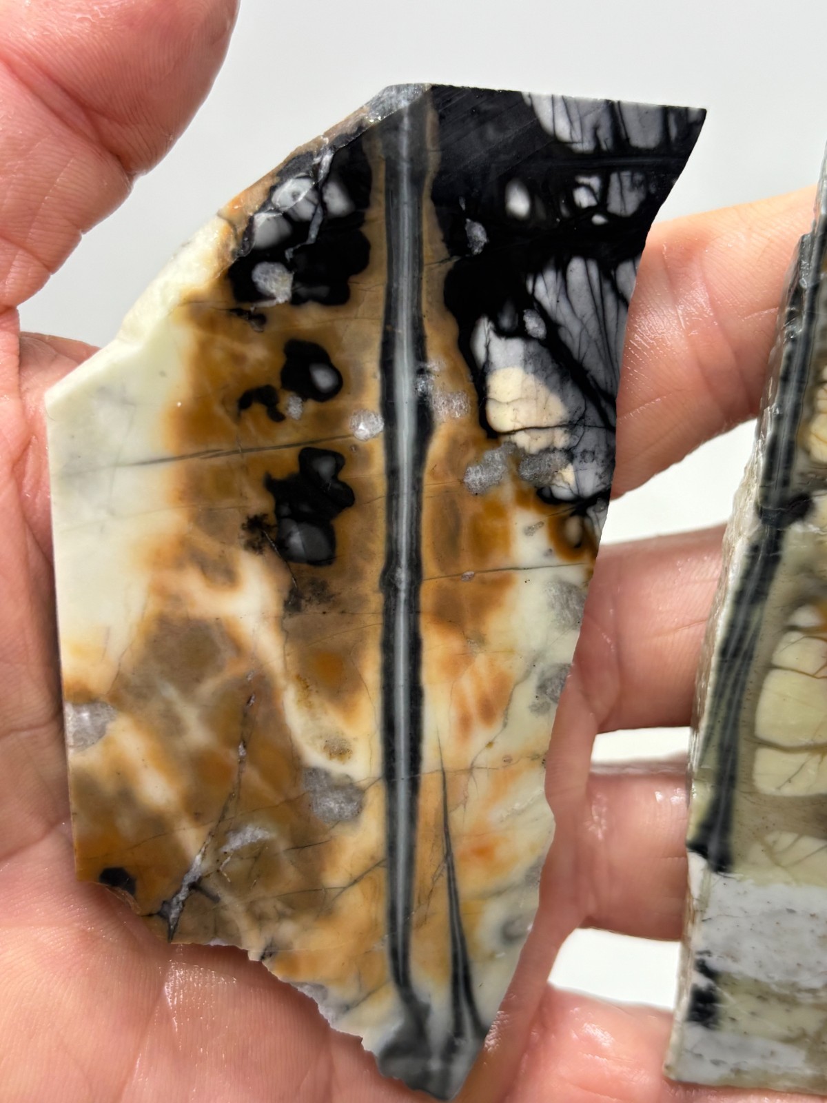 Picasso Marble (Jasper) Slabs Cabbing Lapidary Utah Combo Ship Avail