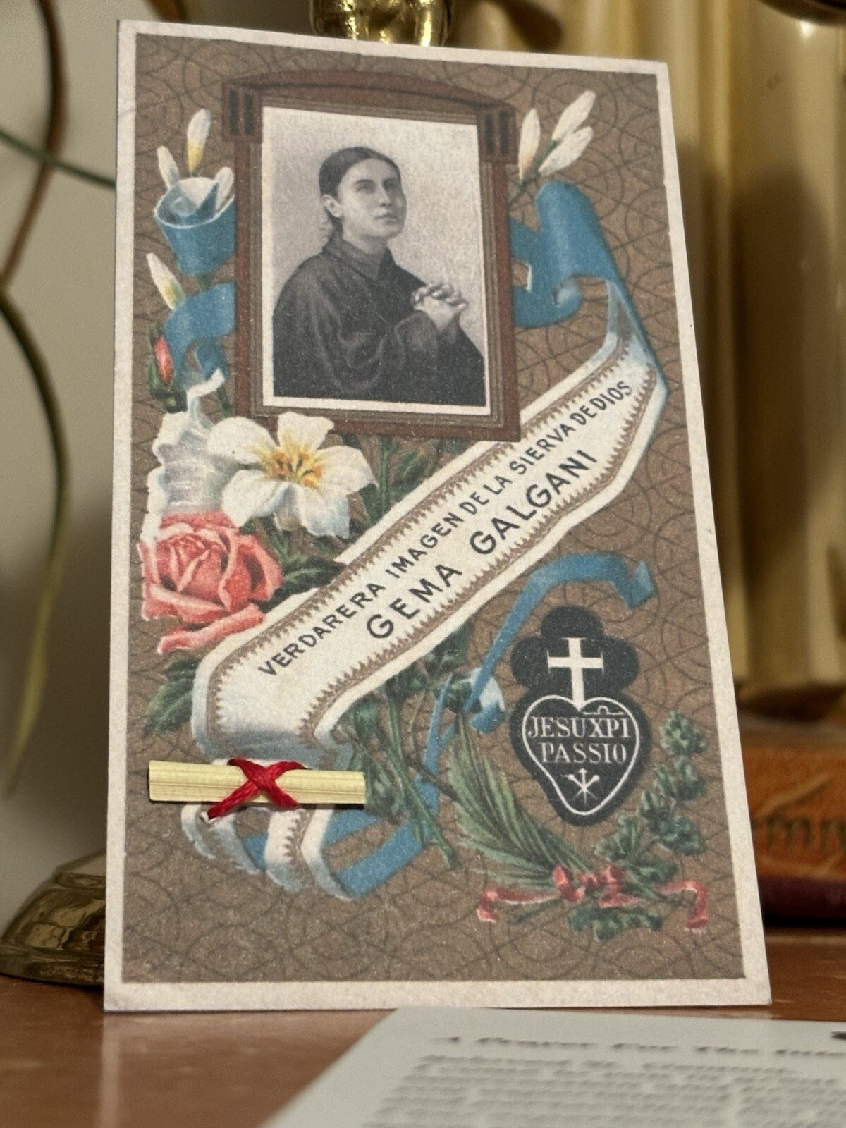 St.Gemma Galgani Large Holy Relic Card + Prayer