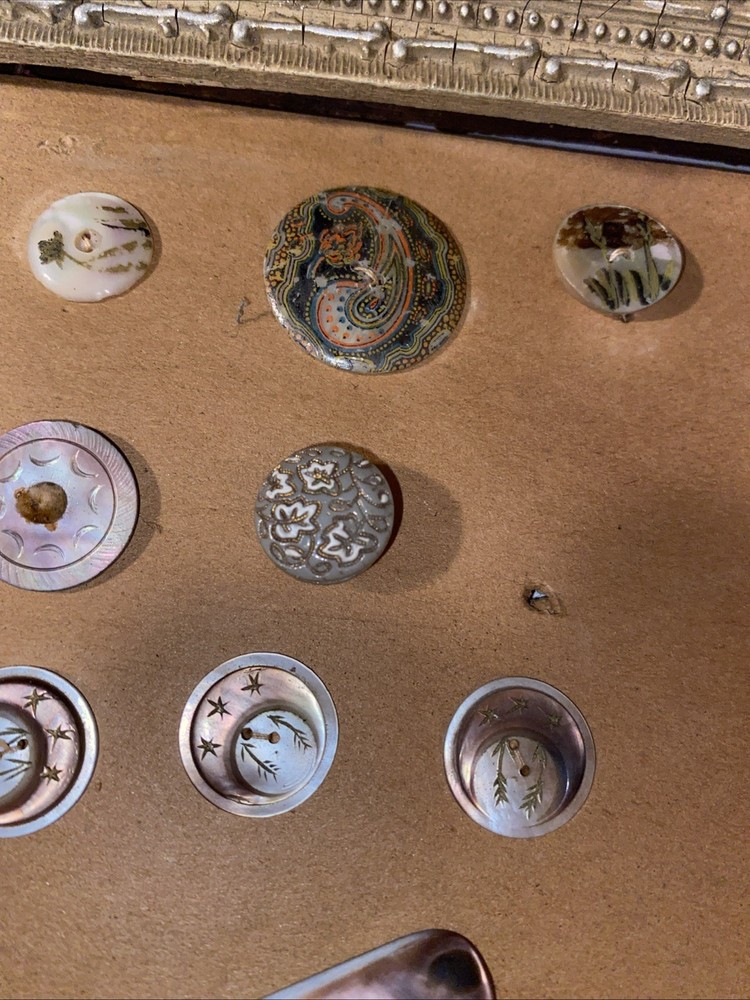 Antique Button Display Lot Victorian
