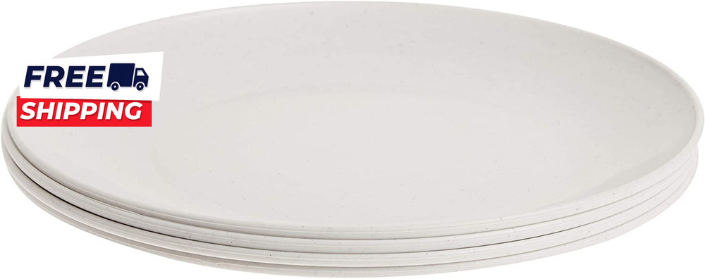 Polypropylene Plates Microwave Serveware  10  White