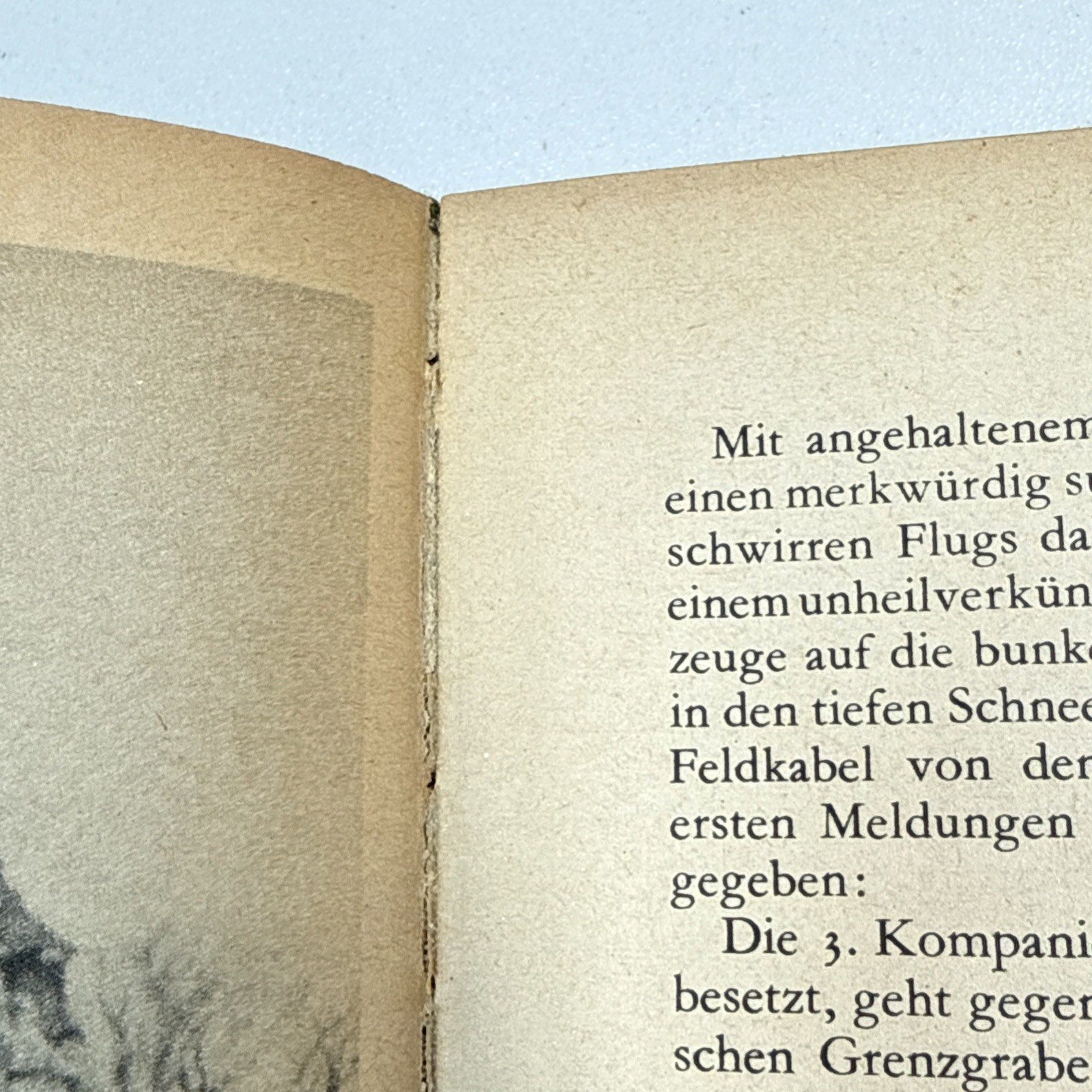 Die Wehrmacht: Um die Freiheit Europas (1941) Original WWII Historical Book