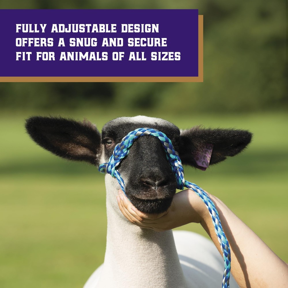 Braided Poly Rope Halter, 4 ft Modern, Adjustable, Soft Braid Sheep Halter, L...