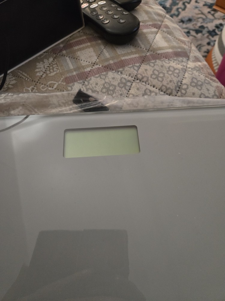 Digital Glass Bathroom Scale Gray/Silver - Taylor