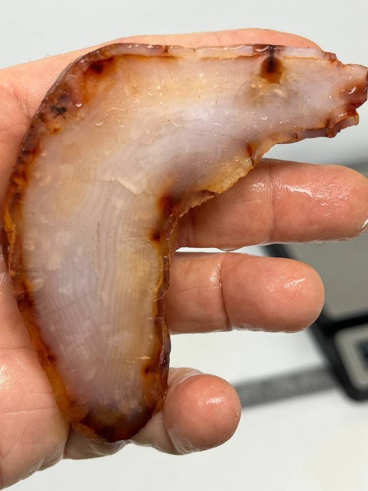 Translucent Carnelian Agate Slab Lapidary Cabbing Combo Ship Avail