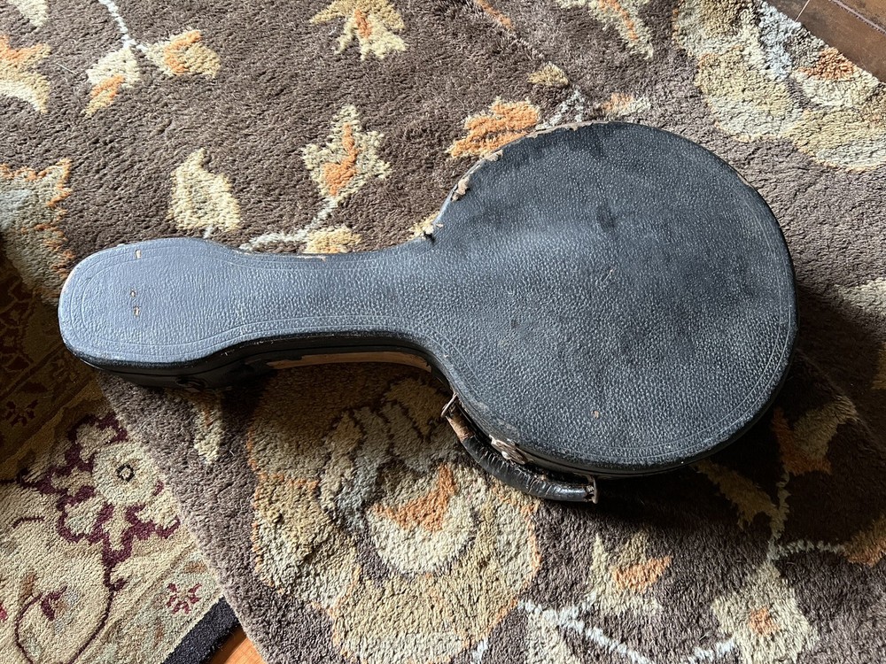 Regina 8-String Banjo 1920s with case