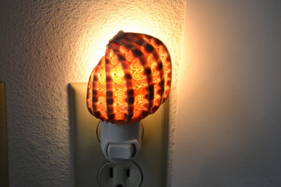 HARPA SEA SHELL NIGHTLIGHT BATHROOM KITCHEN #7189