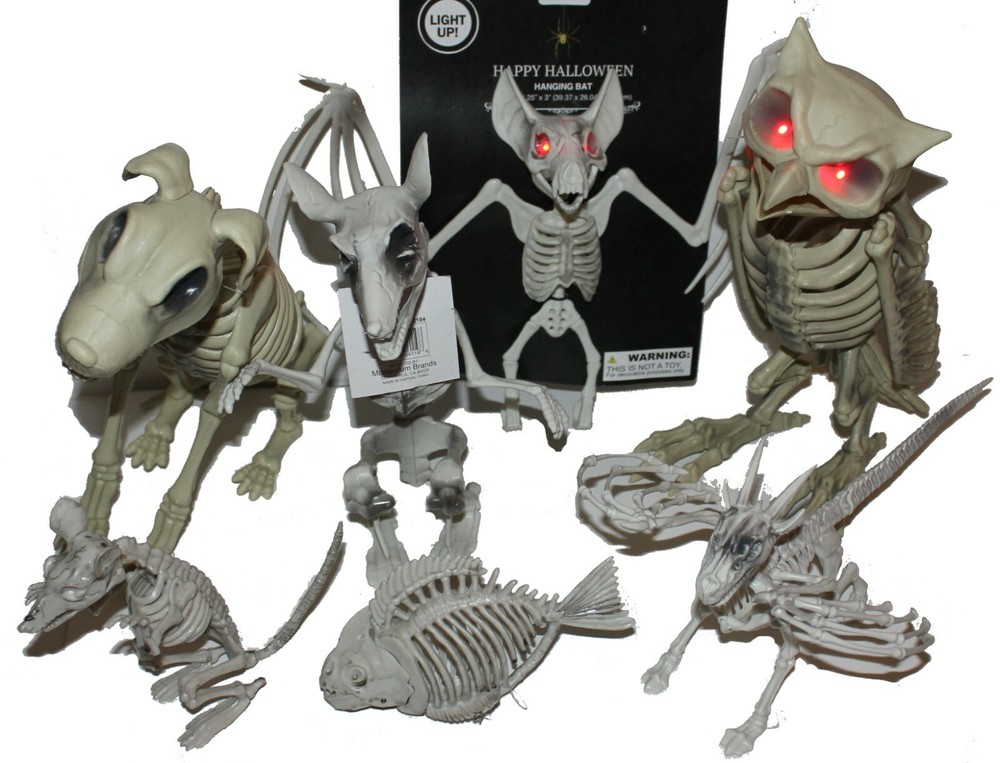 Skeleton Graveyard Halloween Animals, Scary, Sturdy reuse, Owl, Rat, Dragon, Bat