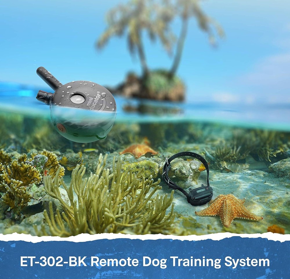 Mini Educator ET-302 Remote Dog Training Collar Black by E-Collar Technologies