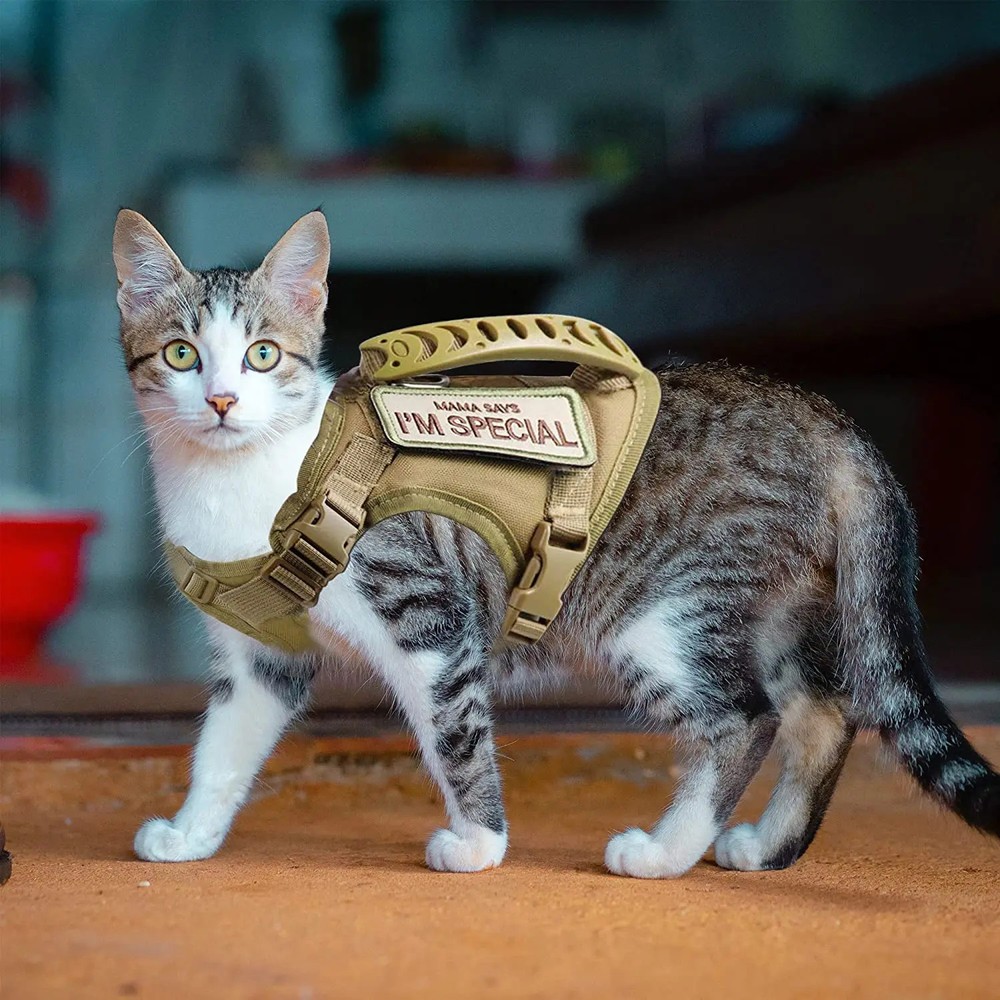 Tactical Cat Harness For Walking Escape Proof Adjustable Pet Vest Harness Sof...