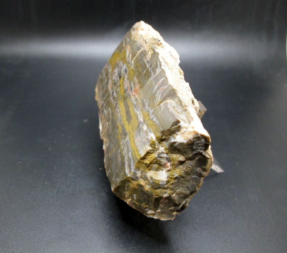 Utah Petrified Wood * Polished Specimen * 10.6 oz.