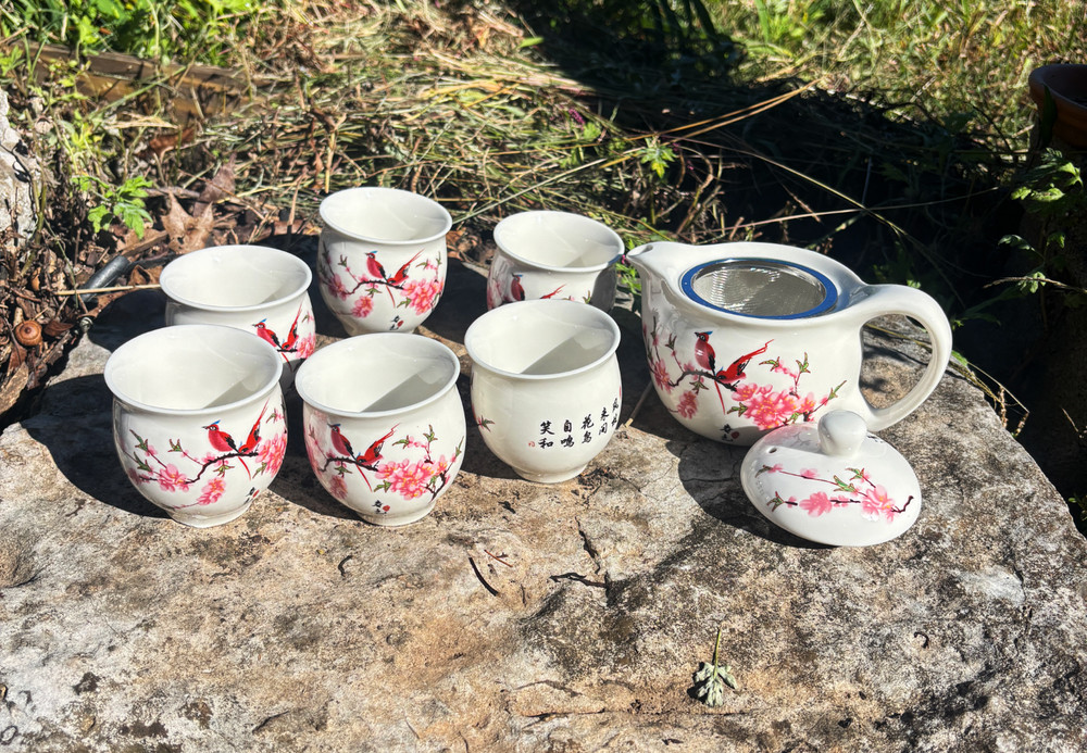 Double Wall Bird Tea Set with Flowers