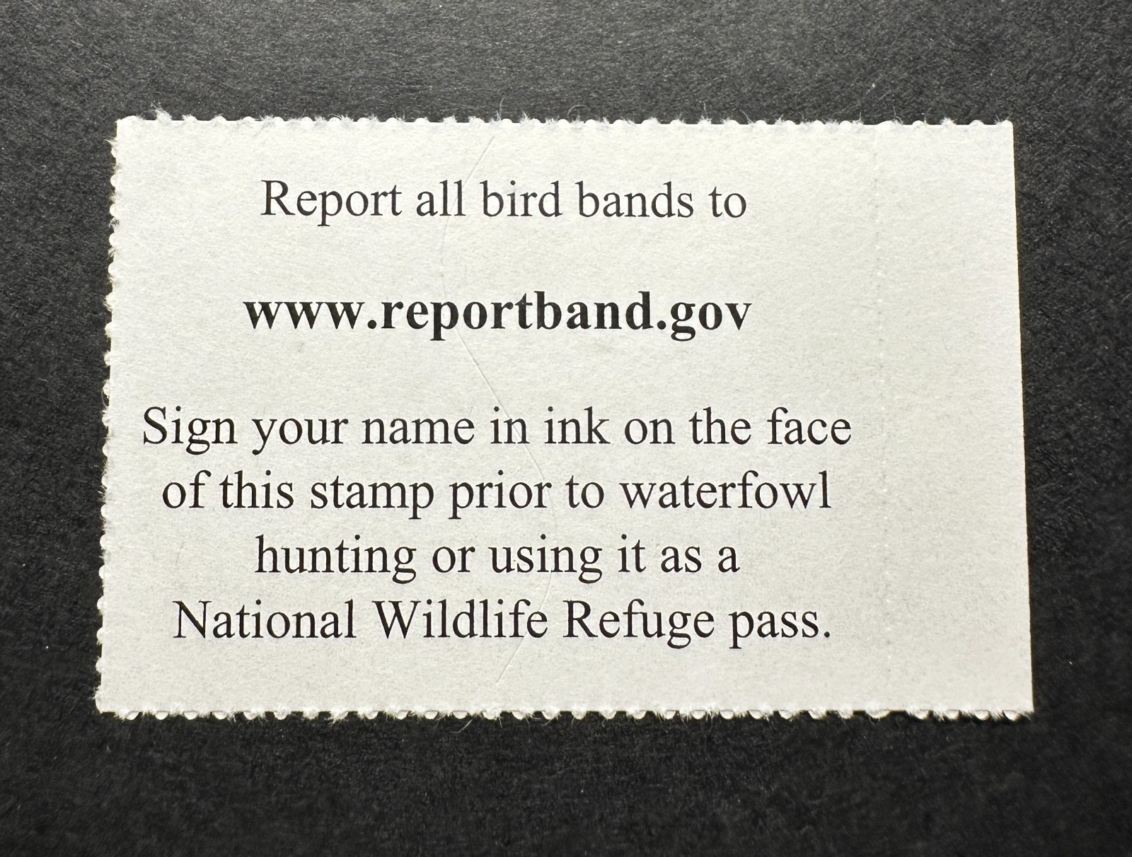 WTDstamps - #RW92 2025 - US Federal Duck Stamp **ADAM GRIMM** Mint OG NH