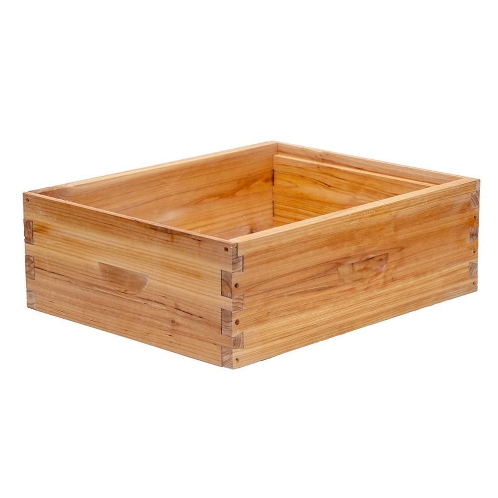 Medium Super Bee Hive Box with Frames and Waxed Foundations for Beginners