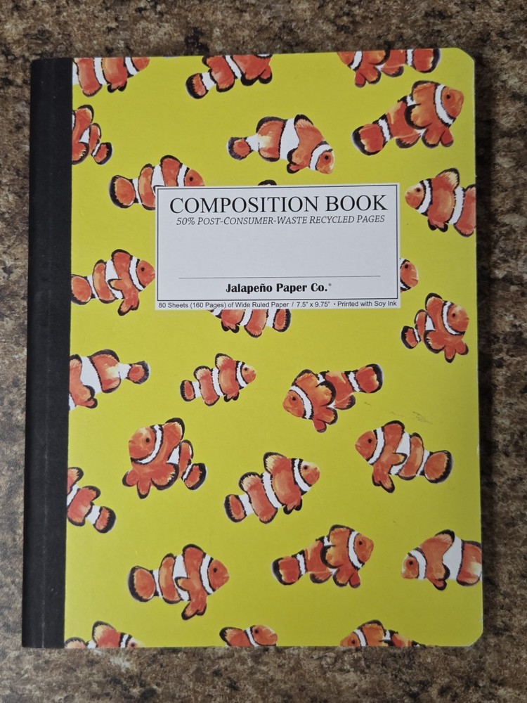 2 Pack Compositon Notebooks 80 Sheets Fun Design